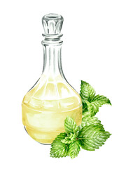 Glass decanter or flagon or carafe of tasty homemade Mint drink, alcoholic beverage, liquor. Hand drawn watercolor illustration isolated on white background