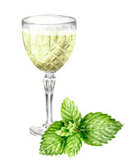 Mint Liqueur or tincture in a crystal glass with fresh mint leaves. Hand drawn watercolor illustration, isolated on white background