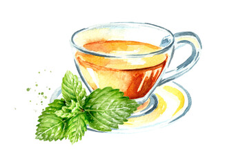 Herbal Tea with Mint leaves. Hand drawn watercolor illustration, isolated on white background