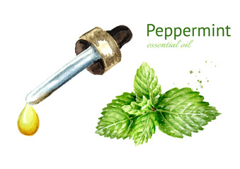 Sprig of medicinal plant Mint or Spearmint and bottle of essential oil drop. Watercolor hand drawn illustration isolated on white background