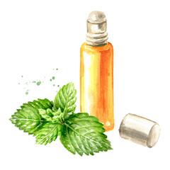 Sprig of medicinal plant Mint or Spearmint and bottle of essential oil, Watercolor hand drawn illustration isolated on white background