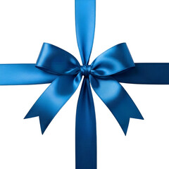 Gift Ribbon Illustration : 리본