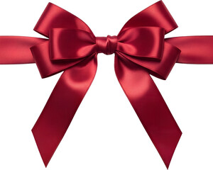 Gift Ribbon Illustration : 리본