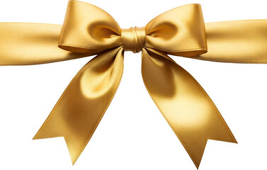 Gift Ribbon Illustration : 리본