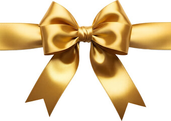 Gift Ribbon Illustration : 리본