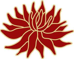 Illustration of red Chrysanthemum flower isolated on white