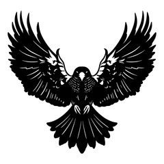 Hawk Silhouette Illustration Shadow
