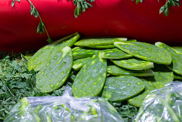 Freshly cut raw nopales cactus pads, ingredient for Mexican cuisine.