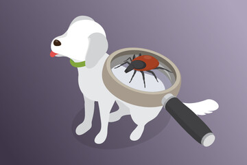 Animal pet dog tick attack season. Flat Isometric vector illustrations.
