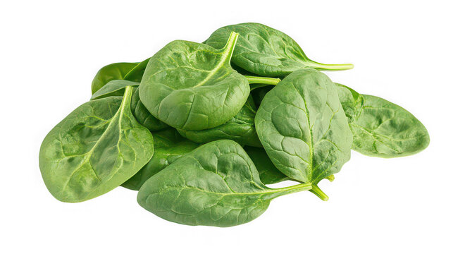 Fresh Organic Baby Spinach Leaves Pile Isolated on White Background