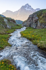 Meadows below Lake Bachalpsee. A clear stream flowing through meadows with views of the Shreckhorn and Wetterhorn in the Alps near Grindelwald, Interlaken. A sunny day during the holidays.