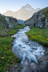 Meadows below Lake Bachalpsee. A clear stream flowing through meadows with views of the Shreckhorn and Wetterhorn in the Alps near Grindelwald, Interlaken. A sunny day during the holidays.