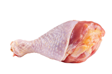 Raw turkey drumstick isolated on transparent background, ready to be cooked