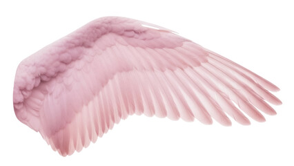 Obraz premium Pink angel wing PNG isolated on transparent background, soft pastel feather plumage for fantasy art and design projects