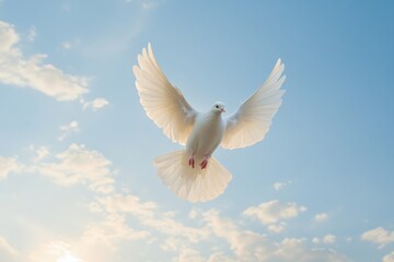 white dove flying in the sky