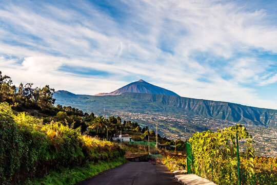 Paisaje en La Corujera, con el Teide de fondo.