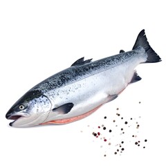 Obraz premium Fresh salmon with spices; isolated on white background