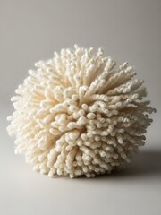 Woolen pom-pom creation displaying soft fibers and texture in a spherical shape