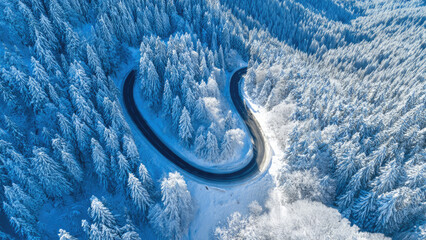 Winter Road Through Snowy Forest