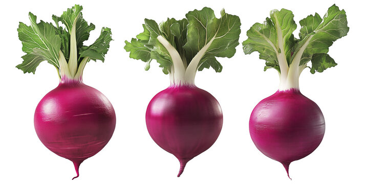 Fresh red turnip with green leaves isolated on white transparent background.