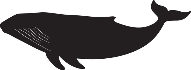Obraz premium Silhouette of a whale