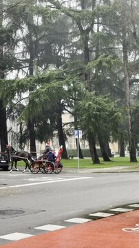 Festive Christmas carriage with a black horse in an urban square. Santa Claus sits in the carriage and waves to people, creating a joyful holiday atmosphere 