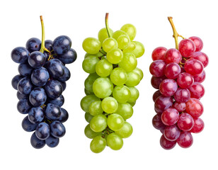 Fototapeta premium Assorted Red, Green, and Black Grapes Cluster Set, Top View, Isolated on White