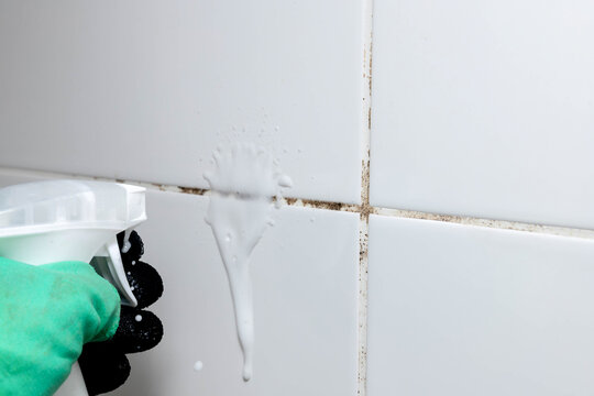 Dirty joints between the tiles, cleaning agent and hands in black gloves in the bathroom.