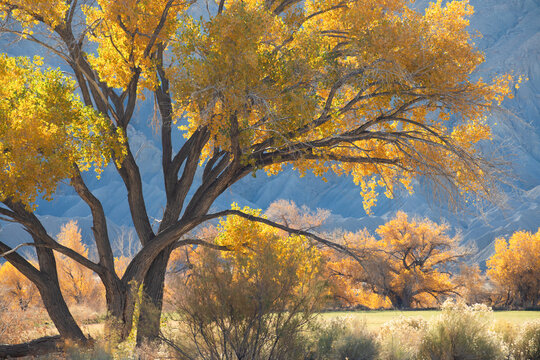 Landscape around the town of Hanksville in Wayne County, Utah, United States.
Very dry landscape with dry rivers and a lunar landscape. Climate change.