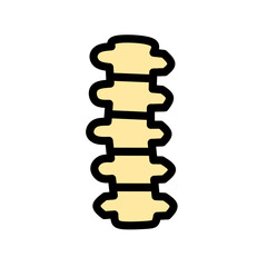 Human Spine Color Icon Medical Anatomy Flat Vector SVG