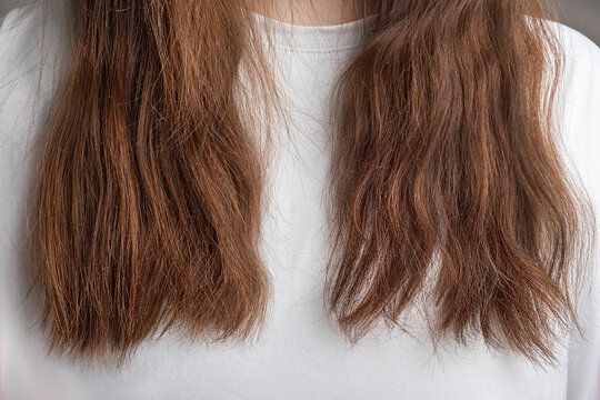 Brunetti womans hair is badly damaged at the ends of her hair. Cut, dry hair. Hair requires care, hydration. Close up, cropped photo