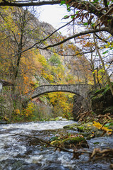 Stone Bridge on the Jungfernstieg Trail in the Harz Mountains, Germany