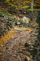 Steep Hiking Trail on the Schurre Path in the Harz Mountains