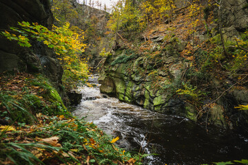 Flowing Bode River in the Bode Gorge, Harz Mountains, Germany