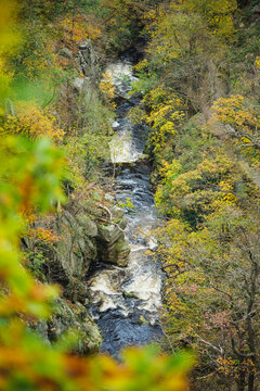 Flowing Bode River in the Bode Gorge, Harz Mountains, Germany