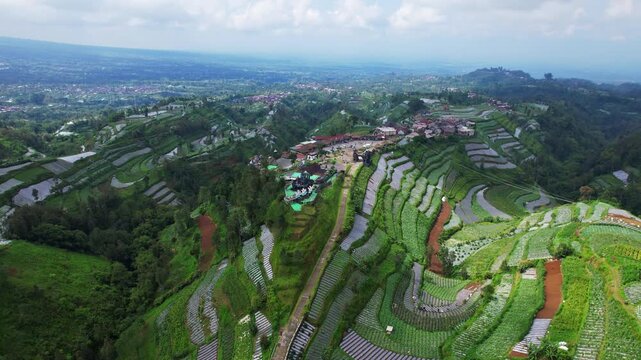 Aerial drone footage of an Indonesian attraction on the slope of the Merbabu volcano, with green agricultural parcels around