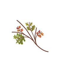 branch of a tree with leaves