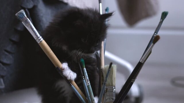Enthusiastic Kitten Mischievously Interacting With Paintbrushes And Art Equipment In Studio. Media
