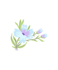 bouquet of snowdrops