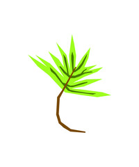 green plant isolated on white background