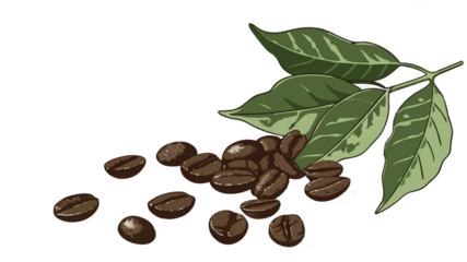 Digital illustration of roasted coffee beans with green leaves and a gradient background