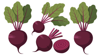 Colorful illustration of red beets