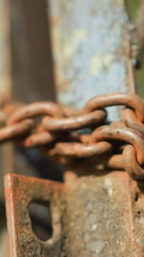 rusty chain on farm gate closeup detail of corroded iron links wrapped around weathered hinge, warm sunlight and soft bokeh, rugged patina and grainy texture, implied caretaker action, nostalgic