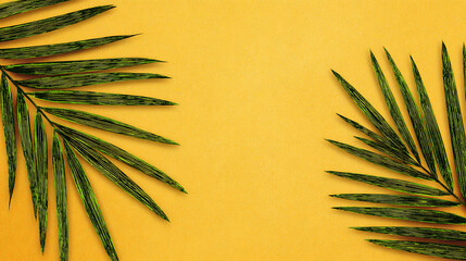 Two Green Palm Fronds on Yellow Background tropical