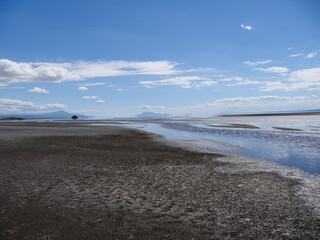 Lac Natron, Tanzanie et Flamands roses