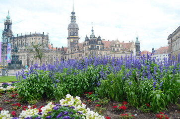 Flowers in a flower bed in the city. Landscaping, decoration of cities. Ecology.