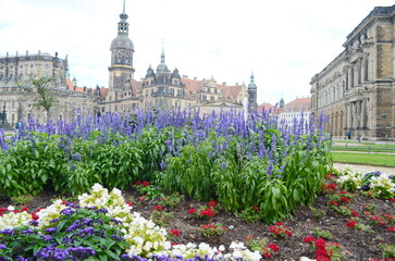 Flowers in a flower bed in the city. Landscaping, decoration of cities. Ecology.