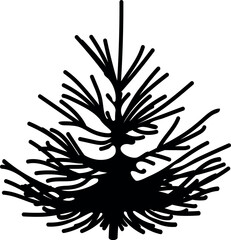 Black silhouette of young spruce tree isolated on a white background.