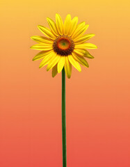 Bright yellow sunflower stands tall against a warm gradient background