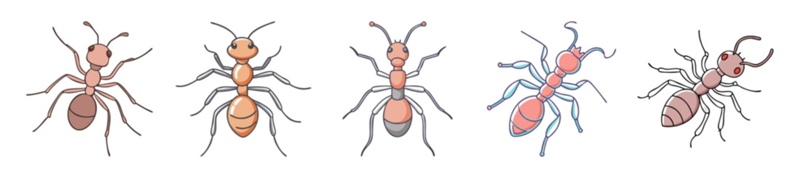 Five colorful tarantulas displaying diverse hues of pink tan and teal in artistic composition